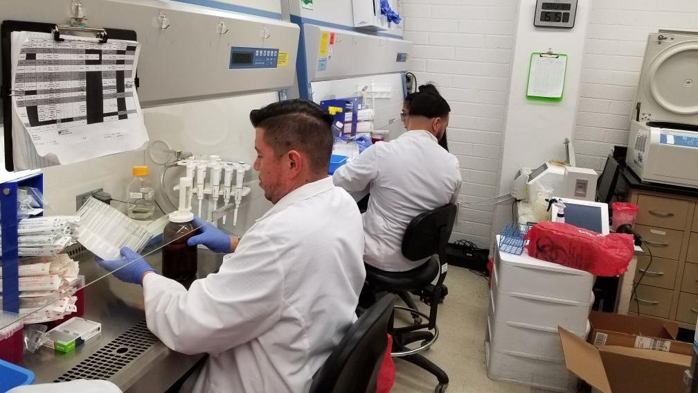 Tohono O'odham Nation donates $1M each to UA, ASU for COVID-19 research